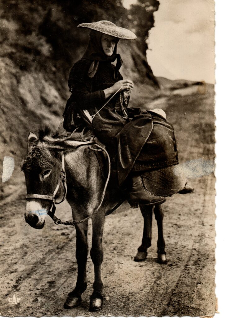 Carte postale ancienne intitulée Paysanne corse montrant une femme tricotant sur un âne.